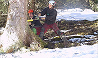Bild Nr.9: 11_beispiele.jpg (220 KB)
