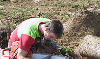 Bild Nr.11: 13_beispiele.jpg (251 KB)