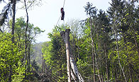 Bild Nr.75: 77_beispiele.jpg (263 KB)